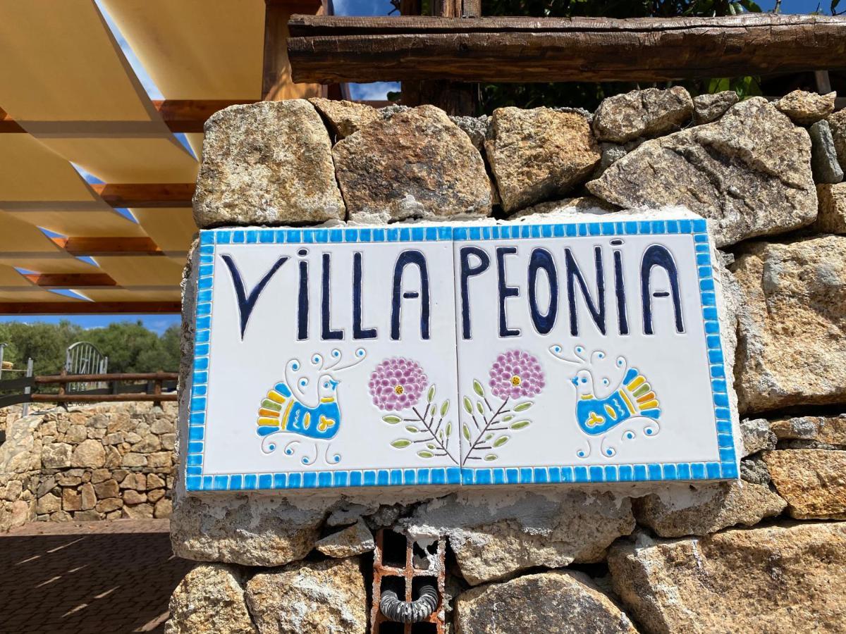 Villa Peonia Budoni Bagian luar foto